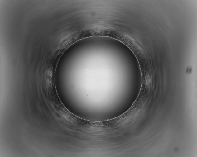 X0000102340964200808011137