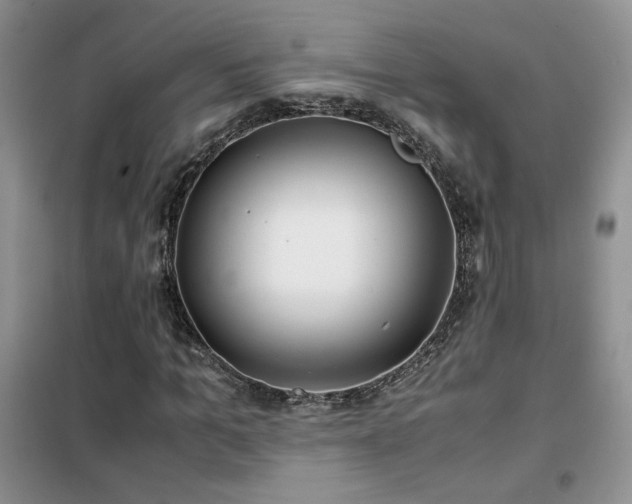 X0000102340965200808011137