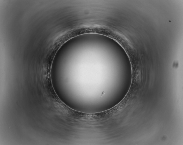 X0000102340966200808011137