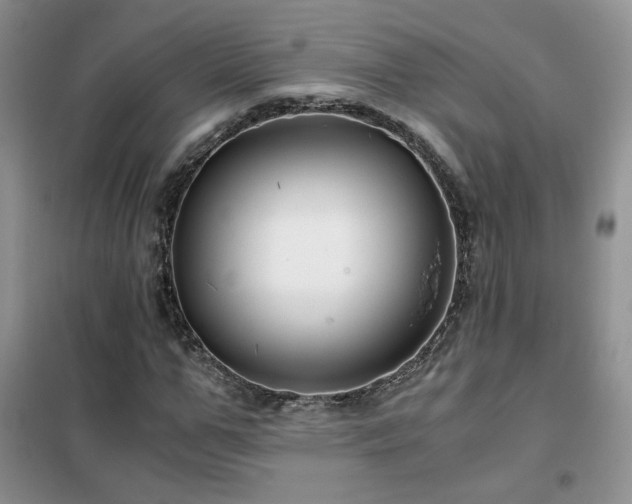 X0000102340967200808011137