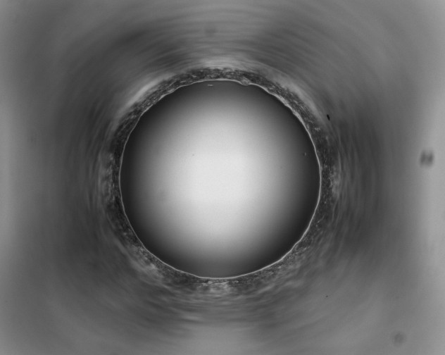 X0000102340968200808011137