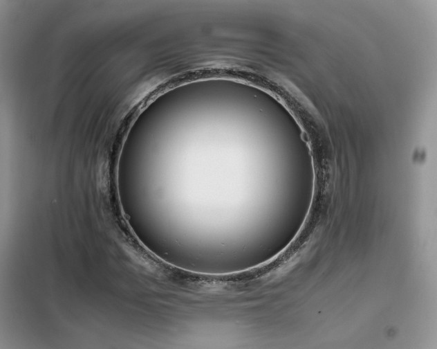 X0000102340969200808011137