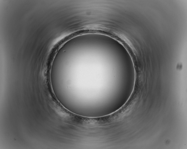 X0000102340971200808011137