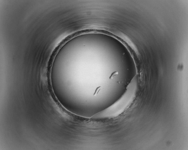 X0000102340972200808011137