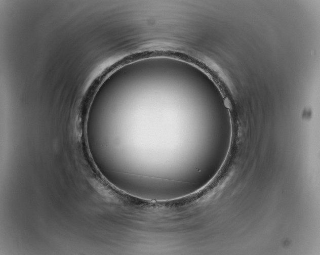 X0000102340973200808011137