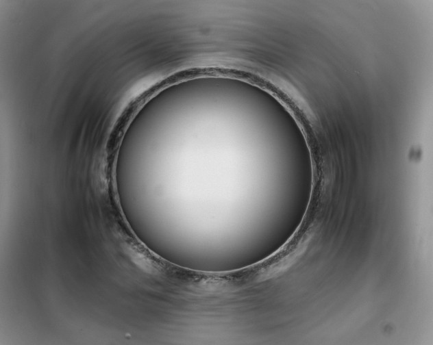 X0000102340974200808011137