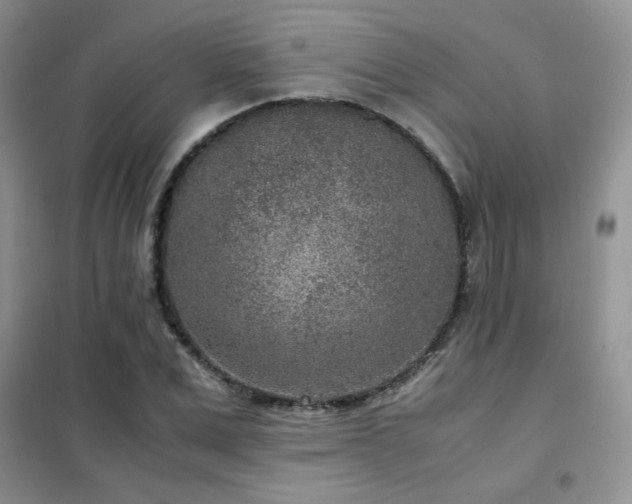 X0000102340975200808011137