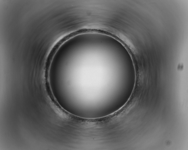 X0000102340976200808011137