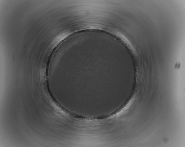 X0000102340977200808011137