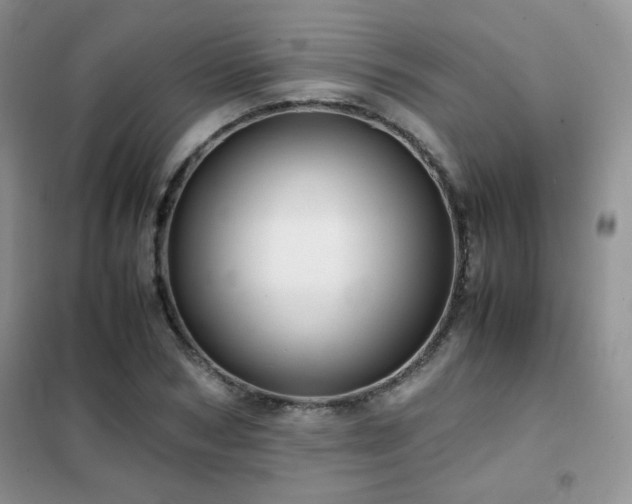 X0000102340978200808011137