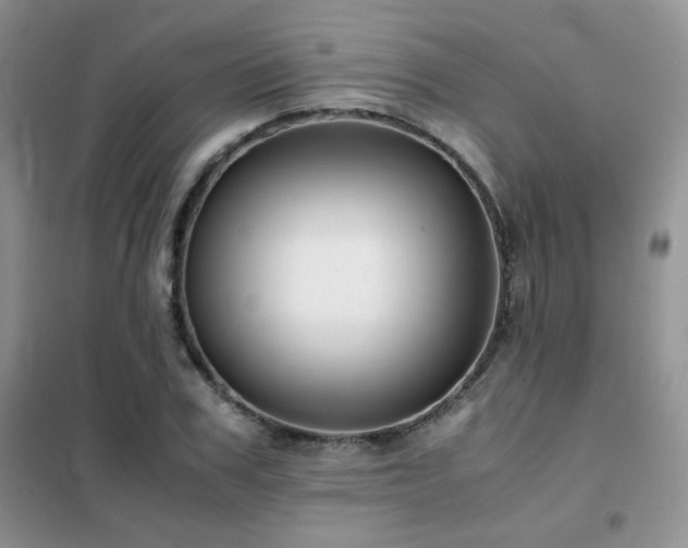 X0000102340979200808011137