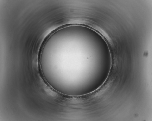 X0000102340980200808011137