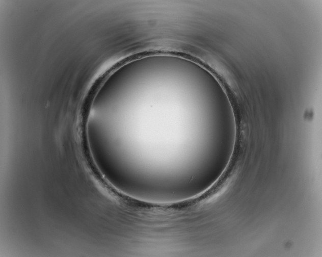 X0000102340981200808011137