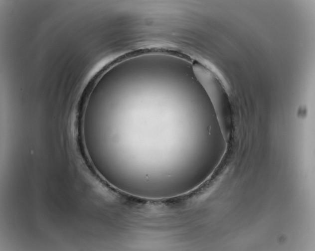 X0000102340983200808011136