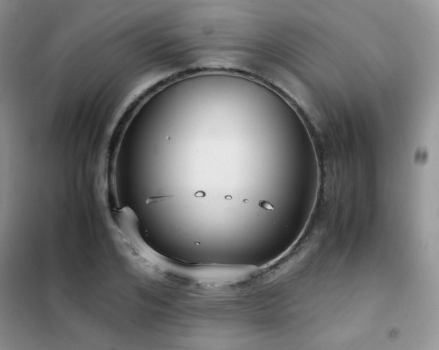 X0000102340984200808011136