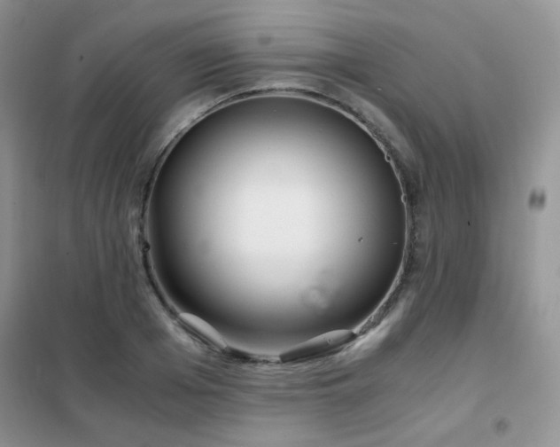 X0000102340985200808011136