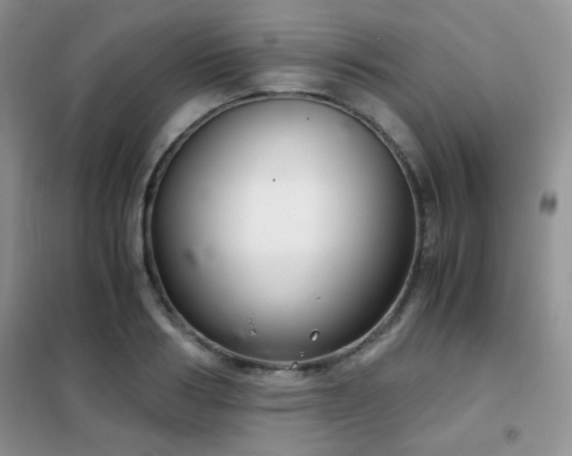 X0000102340986200808011136