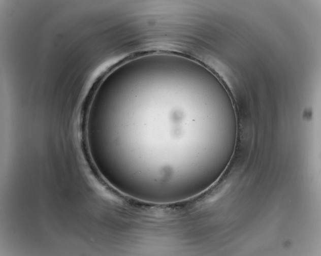 X0000102340987200808011136