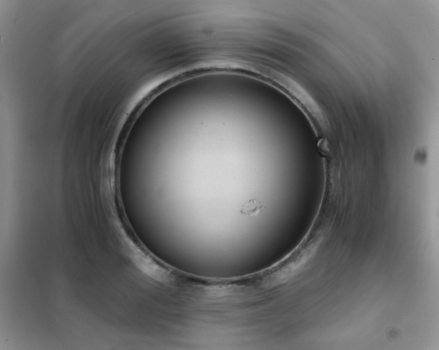 X0000102340988200808011136