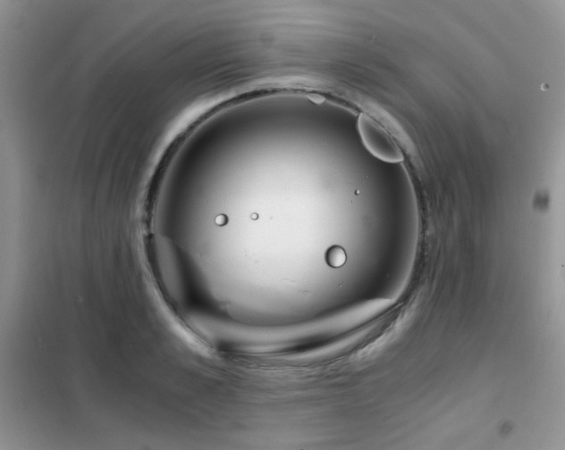 X0000102340989200808011136