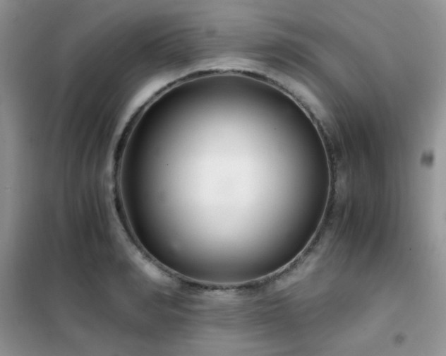 X0000102340990200808011136