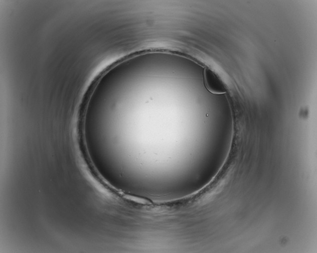 X0000102340991200808011136