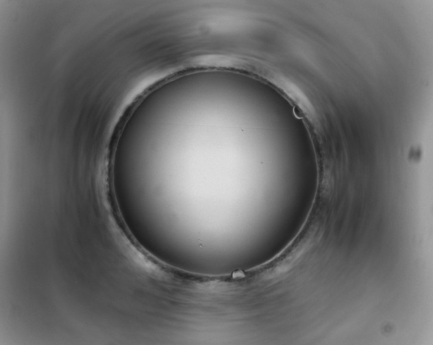 X0000102340992200808011136