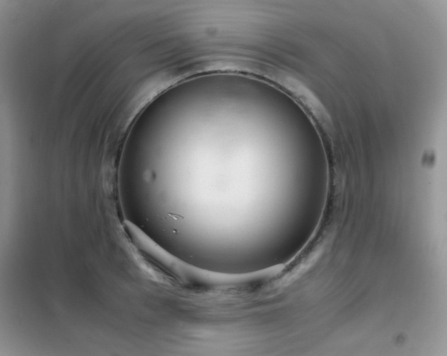 X0000102340993200808011136