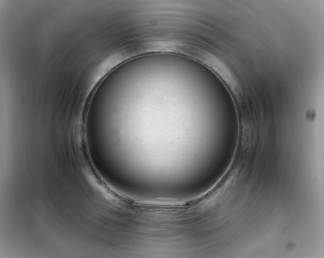 X0000102340994200808011136