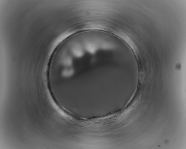 X0000102340995200808011136