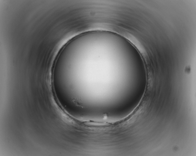 X0000102340996200808011136