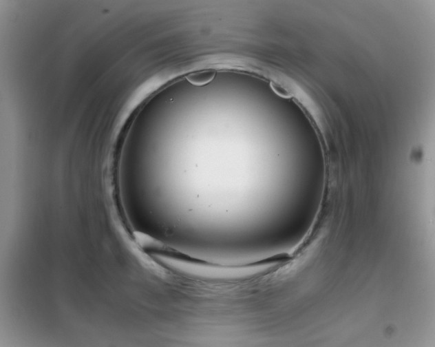 X0000102340997200808011136