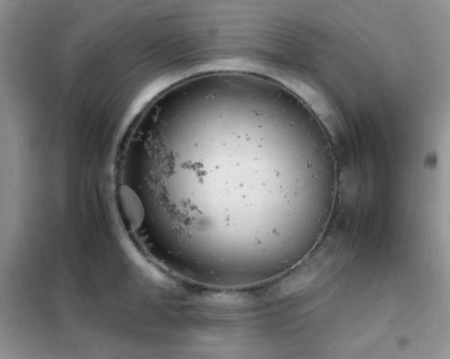 X0000102340998200808011136