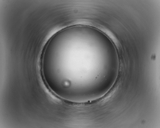 X0000102340999200808011136