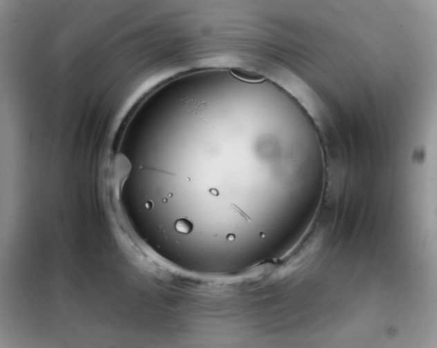 X0000102341000200808011136