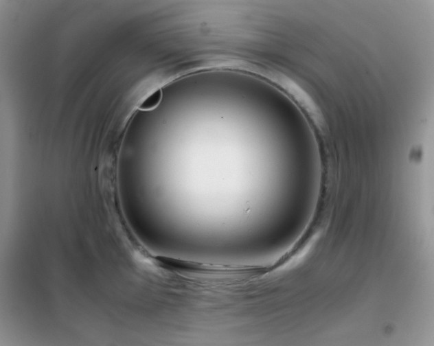 X0000102341001200808011136