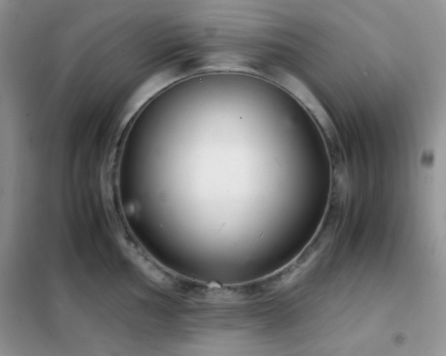 X0000102341002200808011136