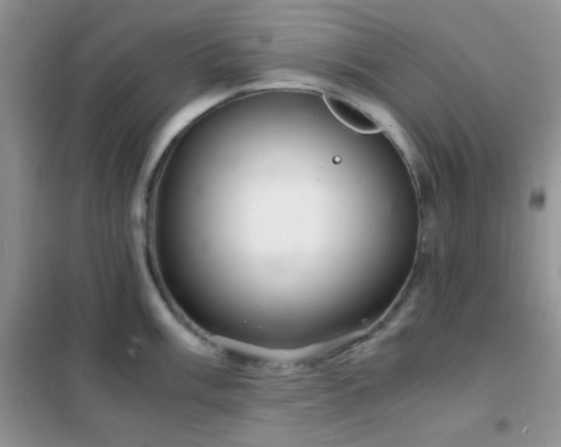 X0000102341003200808011136