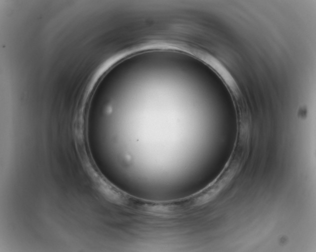 X0000102341004200808011136