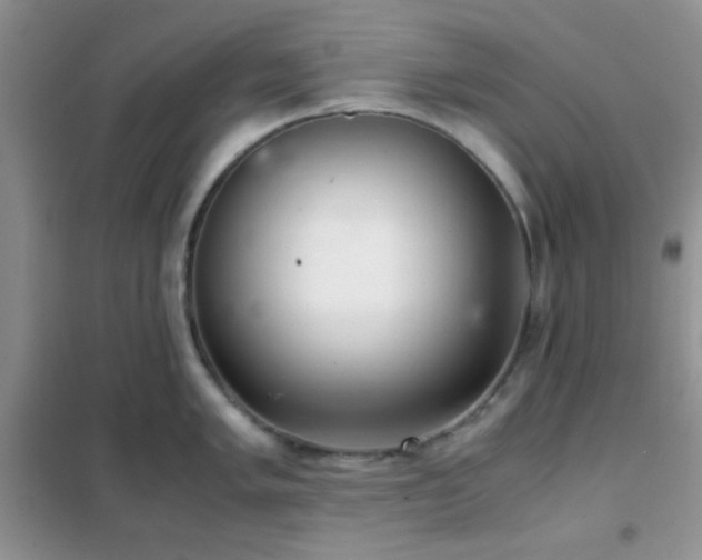 X0000102341005200808011136