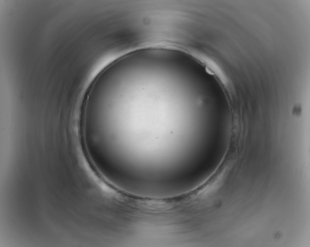 X0000102341007200808011136