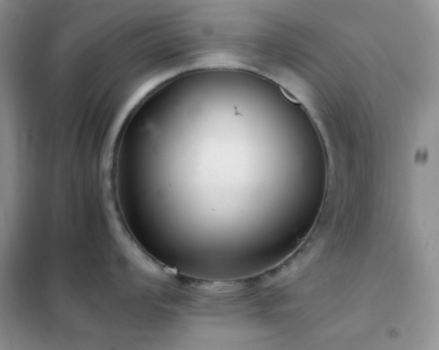 X0000102341008200808011136