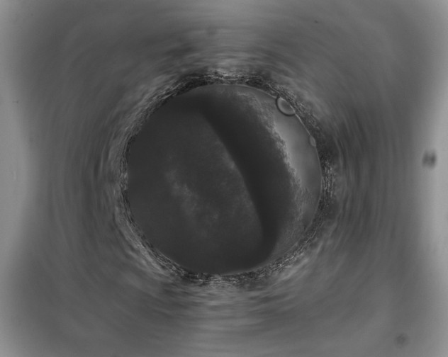 X0000102341009200808011135