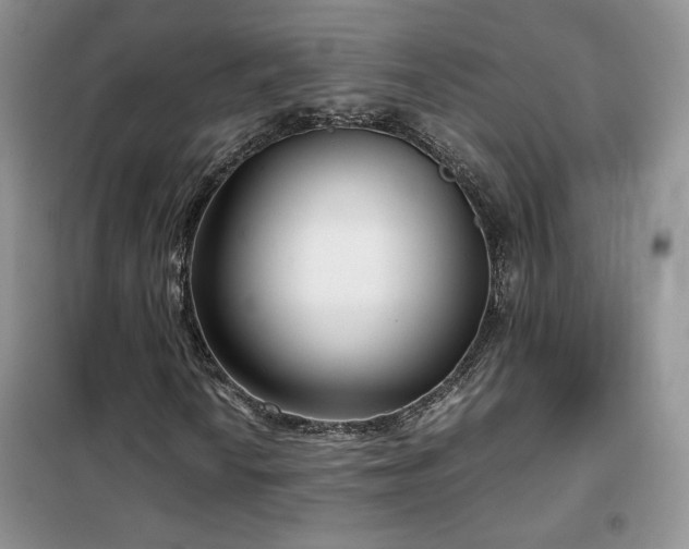 X0000102341010200808011135