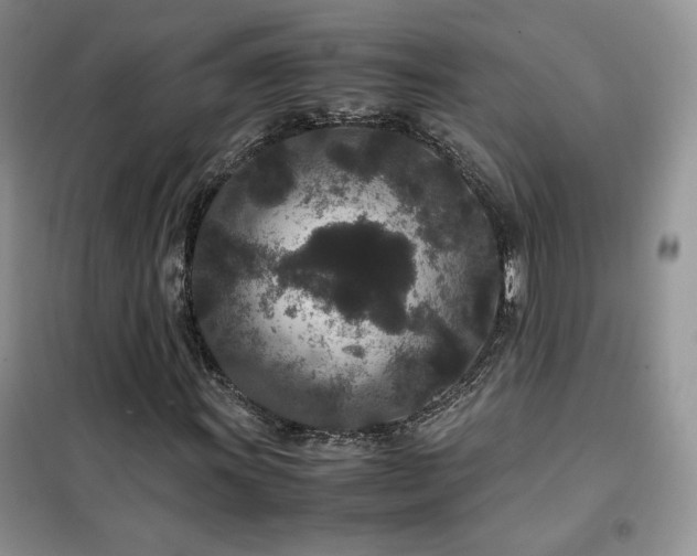 X0000102341011200808011135