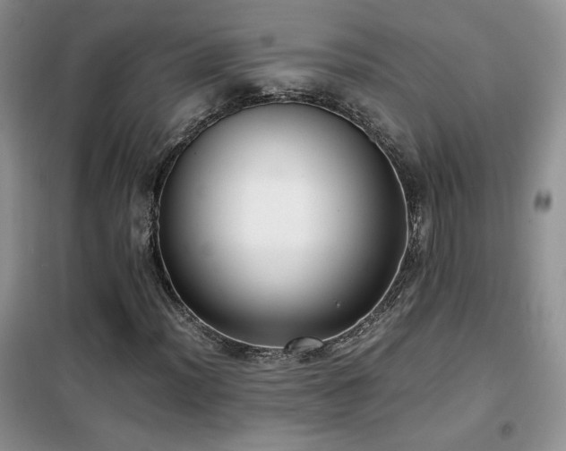 X0000102341012200808011135