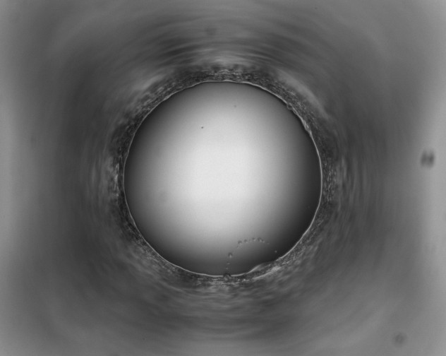 X0000102341013200808011135