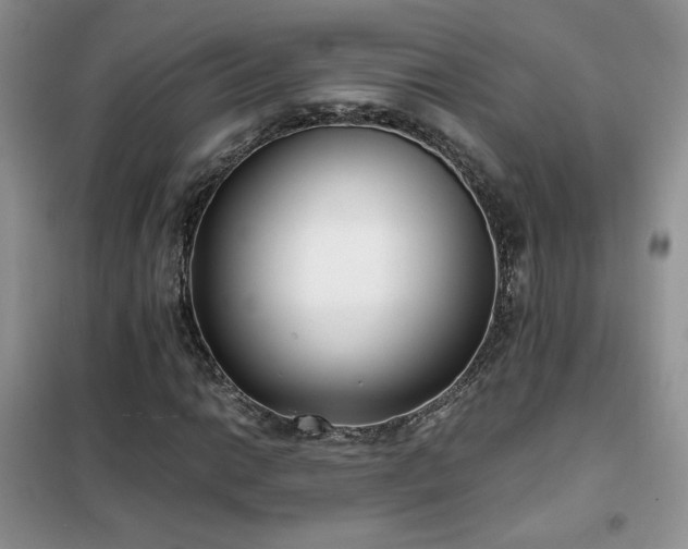 X0000102341014200808011135