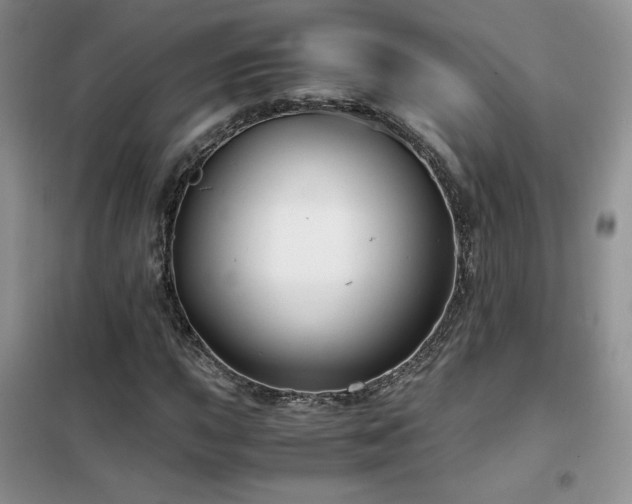 X0000102341015200808011135