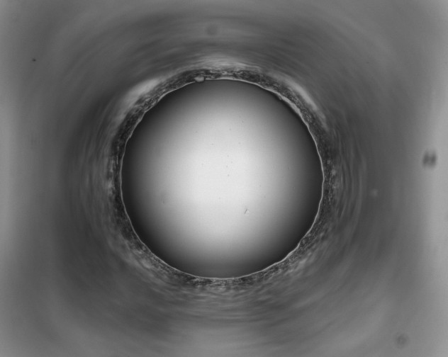 X0000102341016200808011136